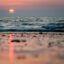 sunset by the beach