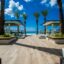 A picture of palm trees and a wooden jetty on Seven Mile Beach in Grand Cayman.