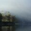 Hazy clouds hover low over forest and a body of water.