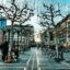 View of a busy street in Frankfurt, lined with trees and buildings.