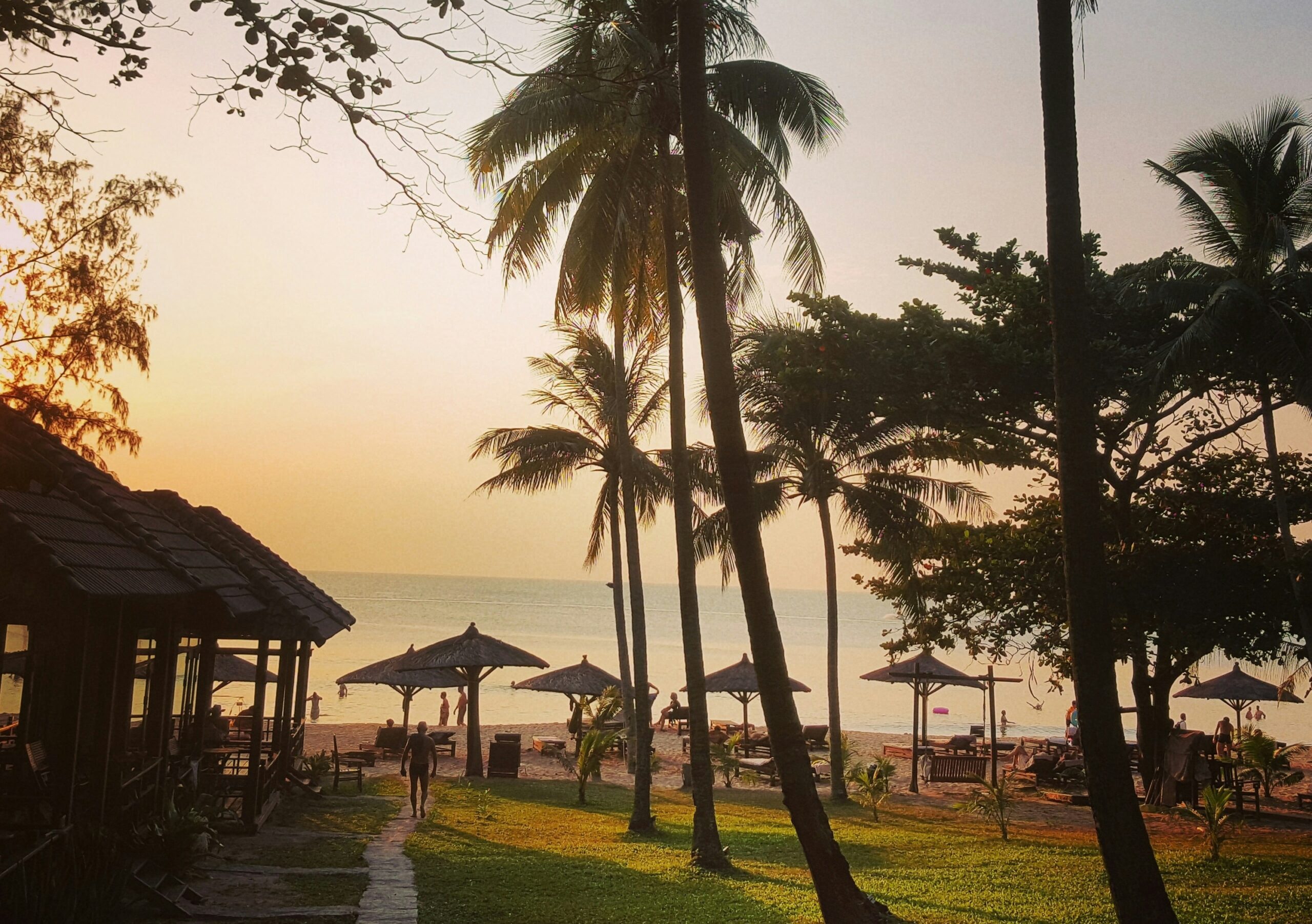 Phu Quoc sunset through palm trees.