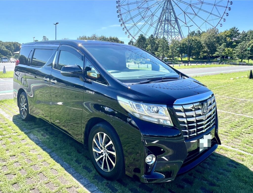 Premium Black Tokyo Taxi parked on a large green lawn with a ferris wheel in the background.
