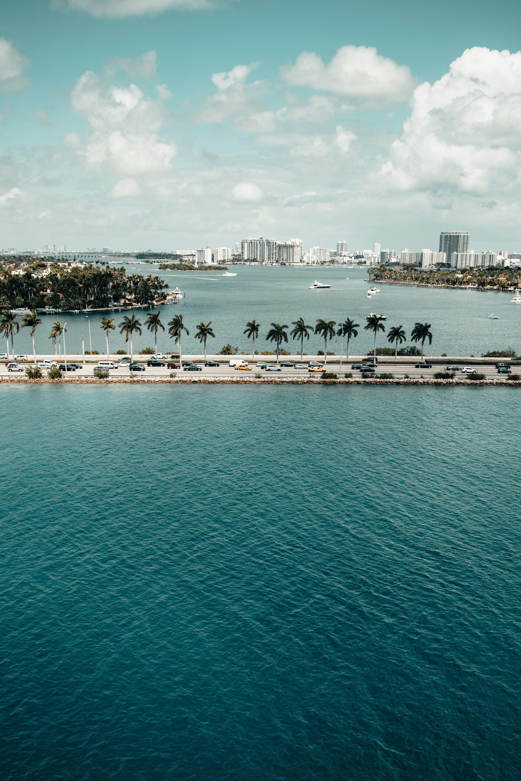 Miami skyline from afar with palm trees in view.
