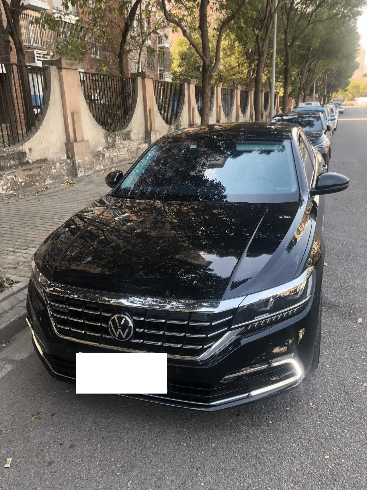 sedan alexandria