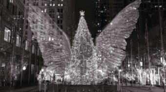 A black and white image of a glass sculpture of a huge Christmas tree with wings.