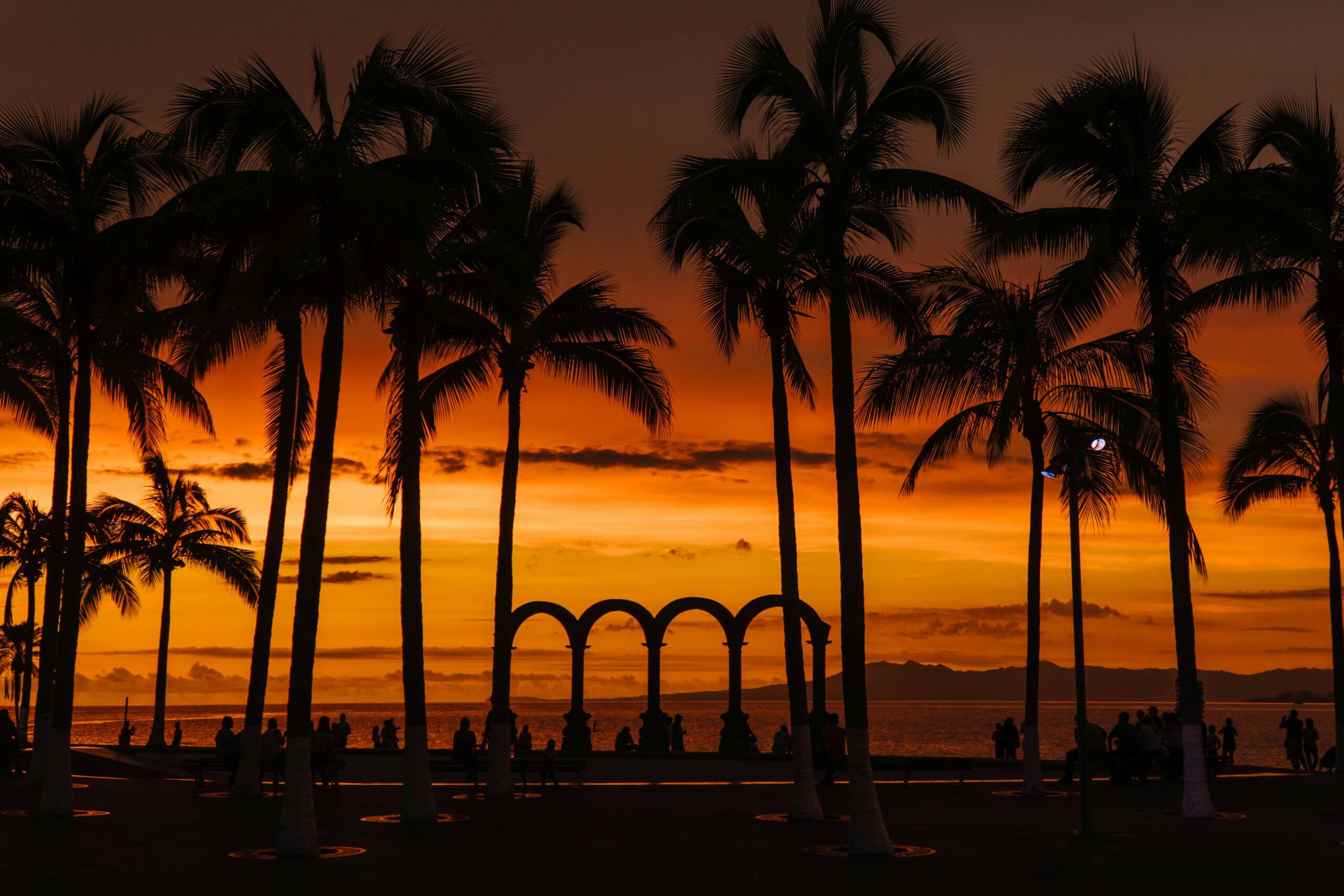 dark orange sunset behind palm trees
