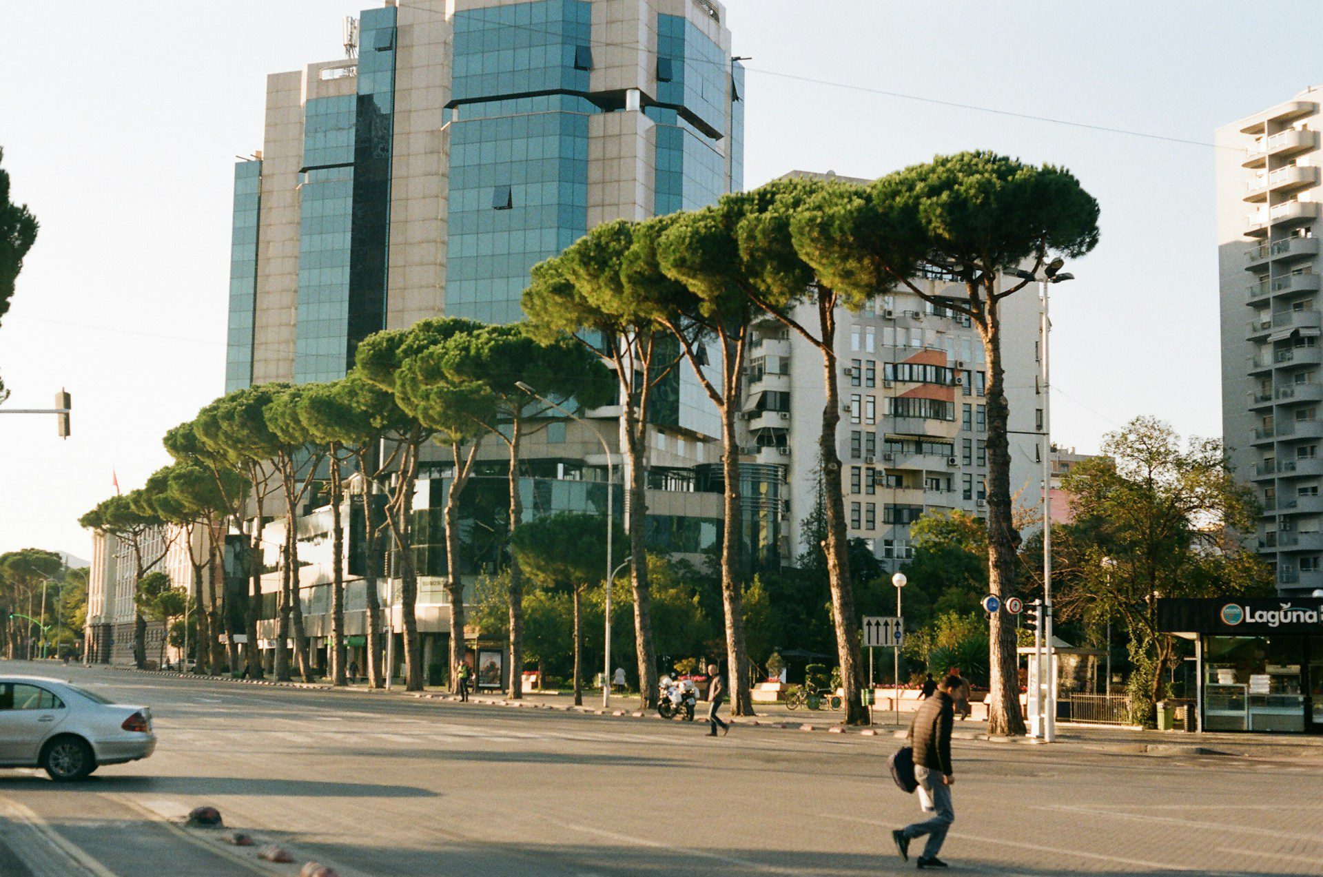 Street view of Tirana city center with trees lining the sidewalk and skyscrapers above.