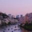 A river flanked by forest leading to Tokyo City.