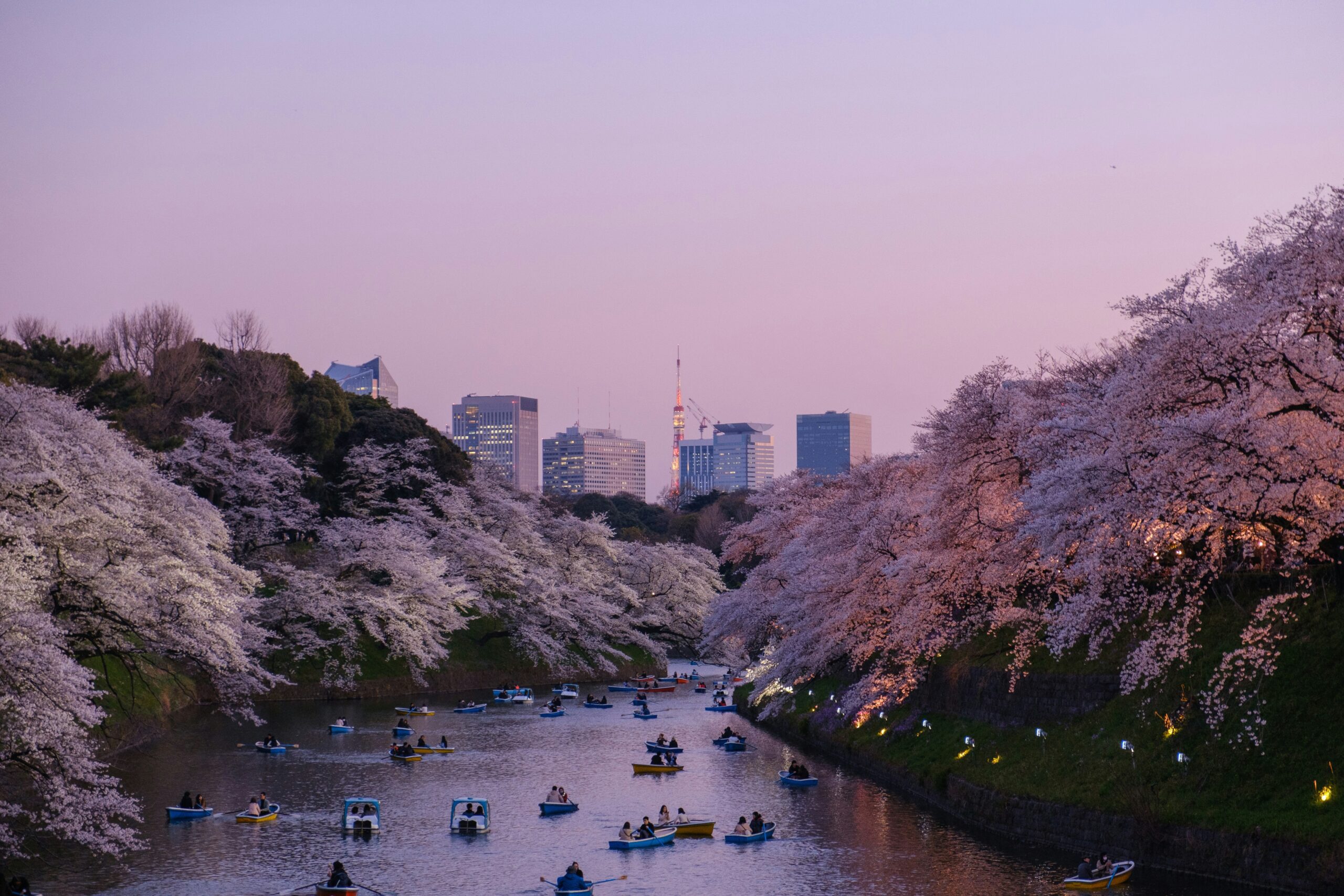A river flanked by forest leading to Tokyo City.