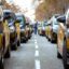 Two lines of yellow and black Barcelona taxis lined up in the road.