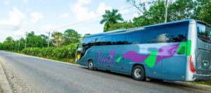 belize-airport-to-placencia-bus Floralia bus in Belize
