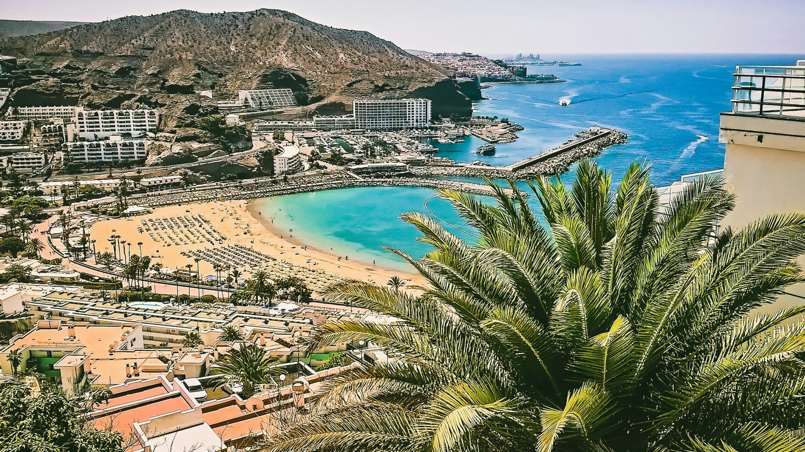 A view of a beach with golden sand surrounded by houses and palm trees.