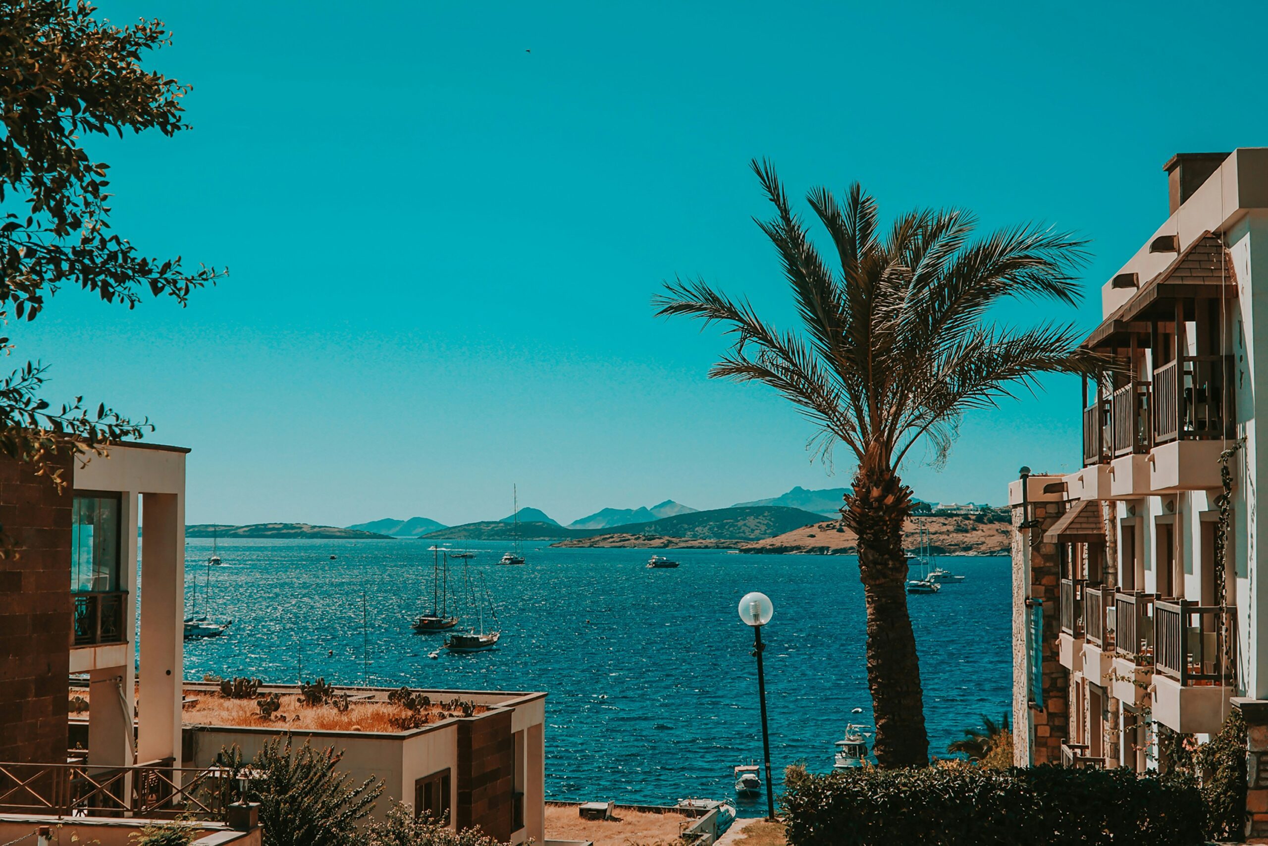 A view of the ocean with turquoise water framed by a blue sky, palm trees and square sandstone buildings.