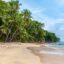 A golden sandy beach lined with palm trees with waves coming into shore.