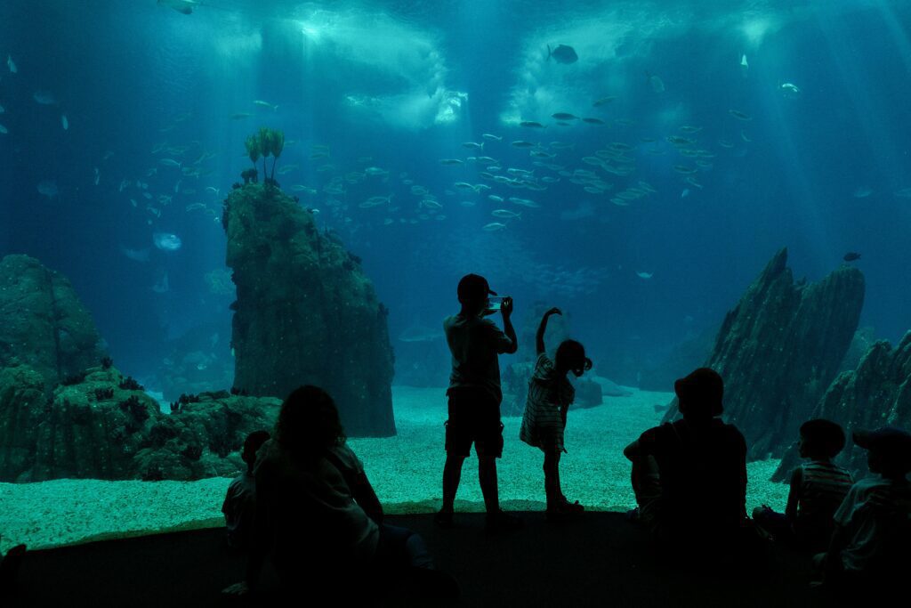 Children spy fish at the Lisbon Oceanarium.