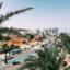 Street view near the Spanish coast with palm trees, modern buildings, and a sunny, clear sky—typical scenery along the drive from Murcia Airport to La Manga.