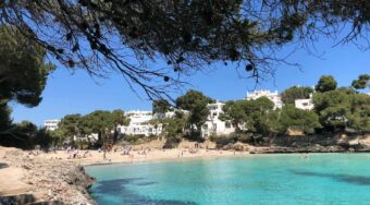 Sunny afternoon at a beach in Cala d'Or, Mallorca, with turquoise waters, rocky cliffs, and white resort buildings surrounded by pine trees—showcasing the coastal charm awaiting travelers journeying from Mallorca Airport to Cala d'Or.