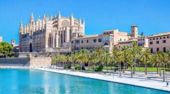 La Seu Cathedral in Palma de Mallorca stands tall beside a palm-lined waterfront on a clear, sunny day—an iconic view for travelers arriving via a Mallorca Airport to Palma transfer.