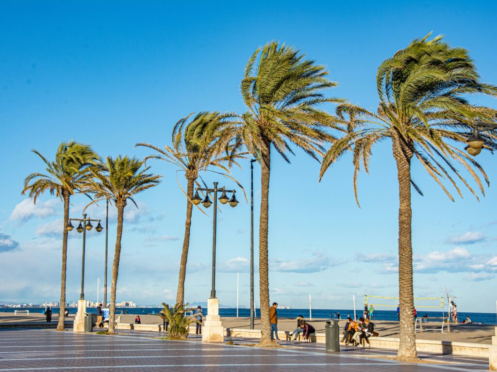 Row of palm trees by the beach in Valencia
