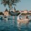 couples peddle two swan paddle boats on Prague's waterway