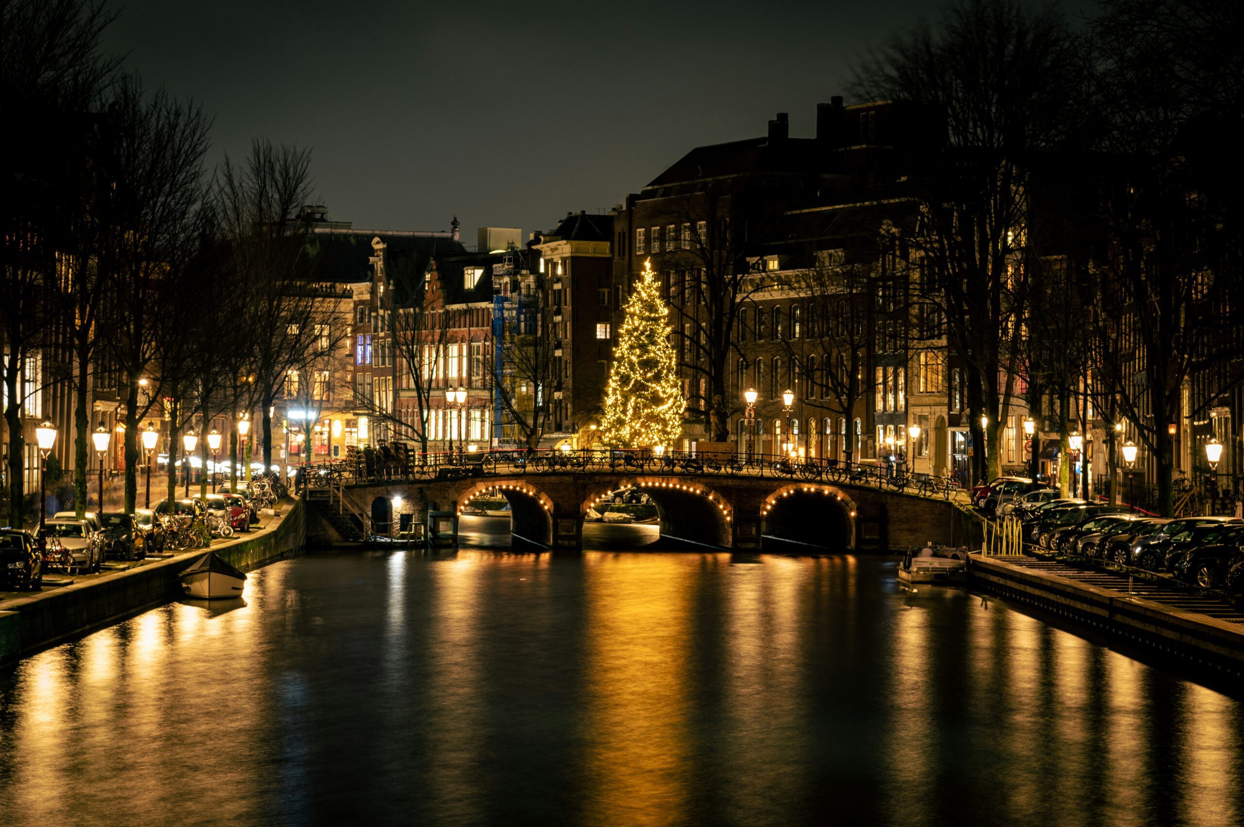 A Christmas tree lit up at night on a canal bridge