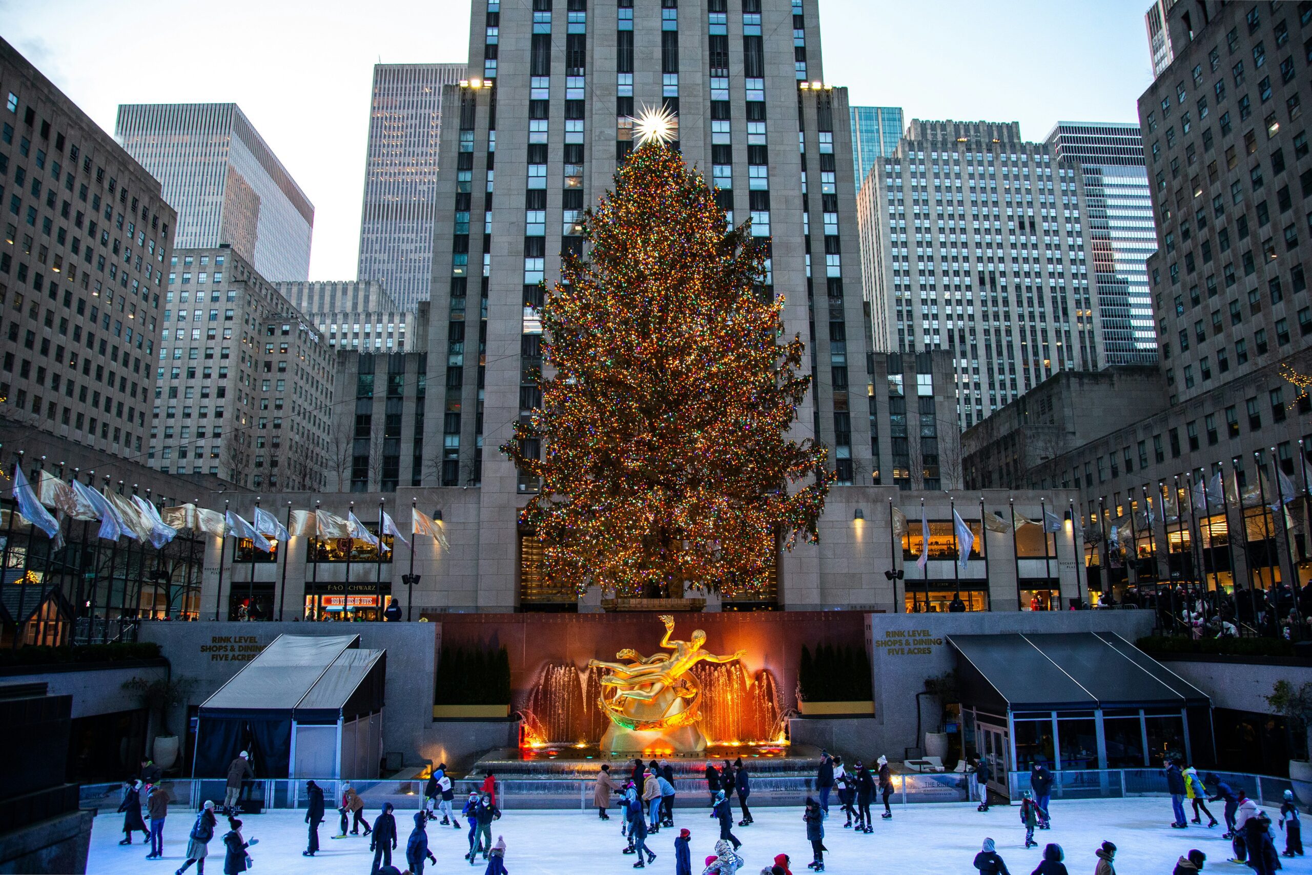 A large Christmas tree in front of a building with an ice skating rink in the foreground