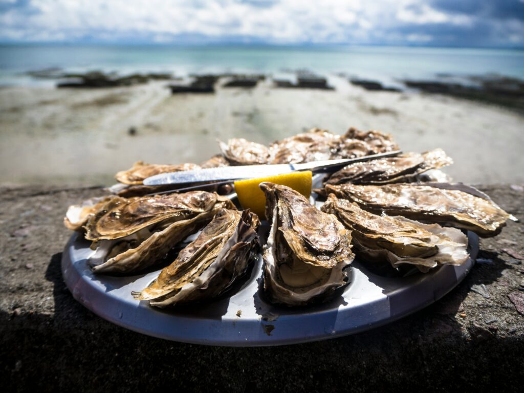 A plate of oysters with a knife and some lemon slices