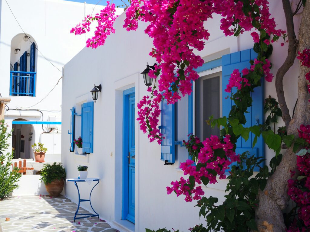 Mykonos street with purple flowers and blue island doors